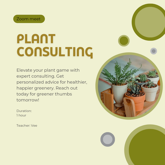 Plant Consultation